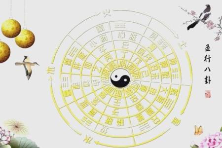 八字软什么意思