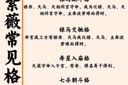 紫薇斗数桃花宫