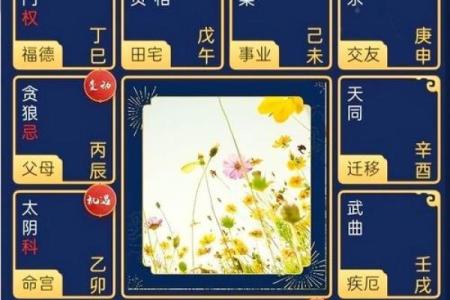 紫微斗数之命宫四化飞星