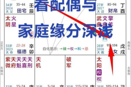 紫微斗数弱智 紫微斗数看智力？