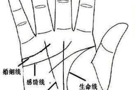 女性手掌纹算命图解婚姻