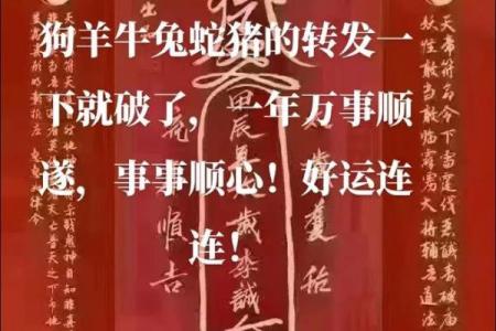算命蛇猪
