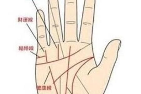 看手相算命：第三课 指头与掌型