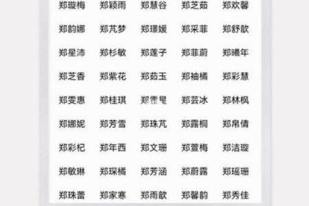 免费姓名测试-好名字,生辰八字取名字免费起名