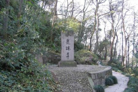 衢州庙前算命地址