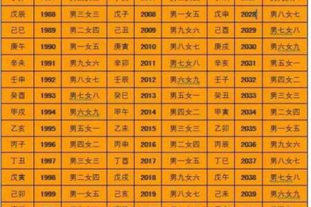 免费测五行八字查询器周易 八字算命测五行
