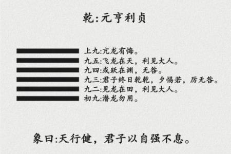 紫微斗数之八卦万物类象：乾卦详解