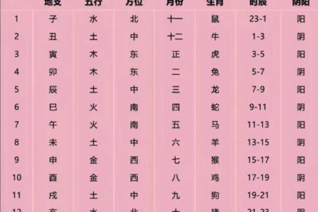 算命自学哪里更好学