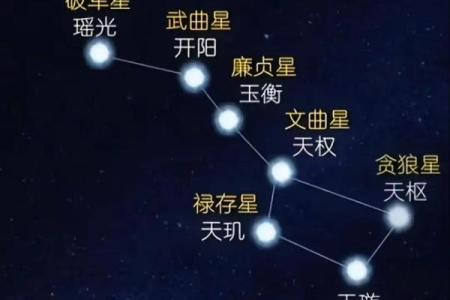 算命青龙什么意思
