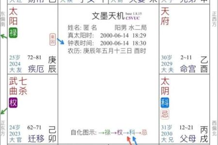 紫薇斗数运疾