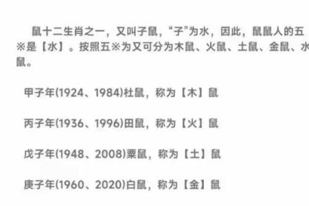 哪种命相八字的人适合学算命