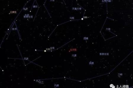 皮肤白紫薇斗数