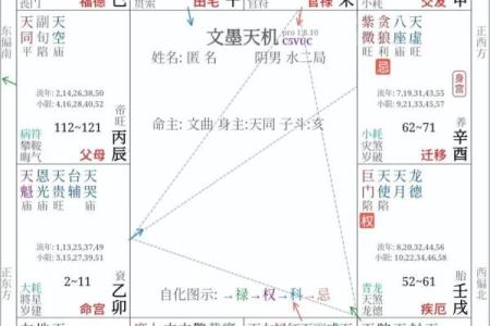 怎么在紫薇斗数里看未来老公样貌
