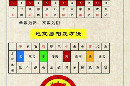 中华周易免费算命网