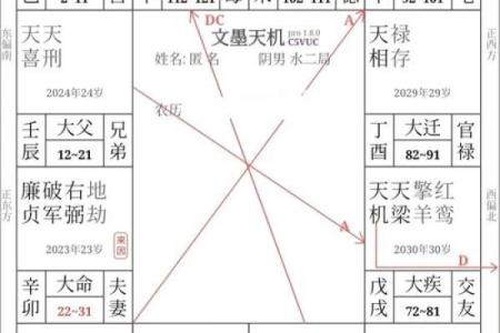 紫微斗数之父母宫与诸星，紫微星在父母宫是什么意思？