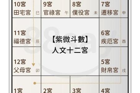 紫薇星盘免费测试姻缘