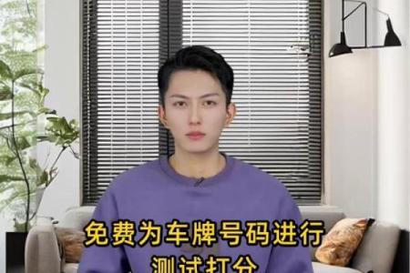 八字测车牌号码测吉凶测试