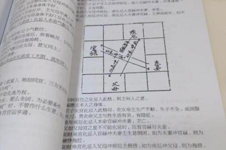 民间紫薇斗数高手