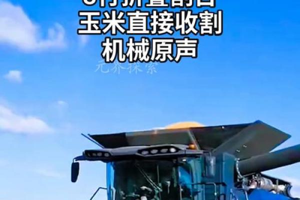 什么样的八字能成为鲜肉收割机