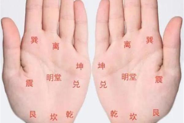 手相算命话语,手相算命说法