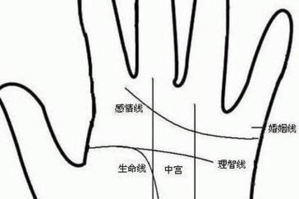 女性手掌感情线算命图解 感情线不清晰的人没有主见