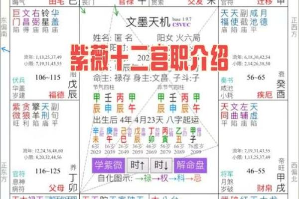 紫薇斗数紫薇疾厄