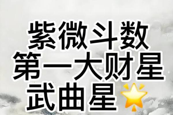 紫微斗数之财帛宫与诸星，武曲星在财帛宫是什么意思？