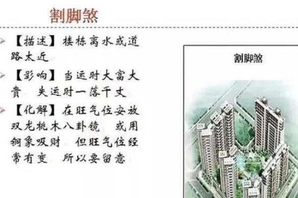 风水学家的攻略