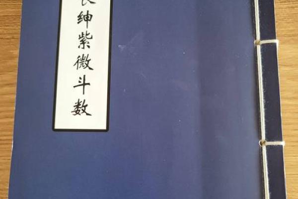 文教法律紫薇斗数
