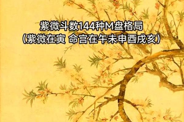 紫薇斗数盘是什么