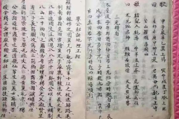 廖墨香八字算命教程