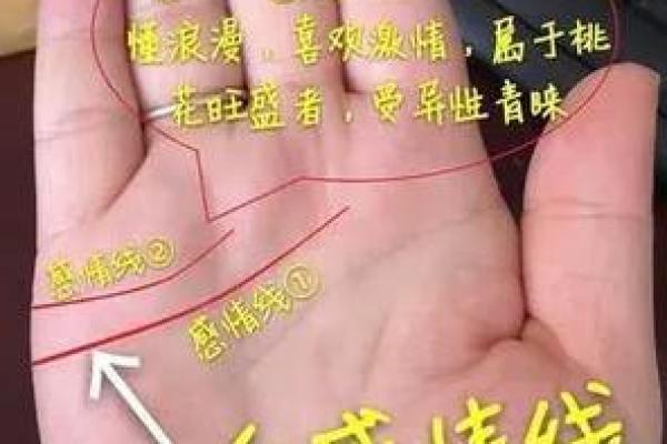女性左手掌纹手相算命准吗