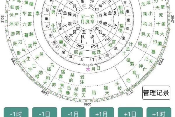 紫微斗数与八字
