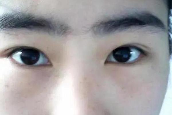 连心眉面相算命图解