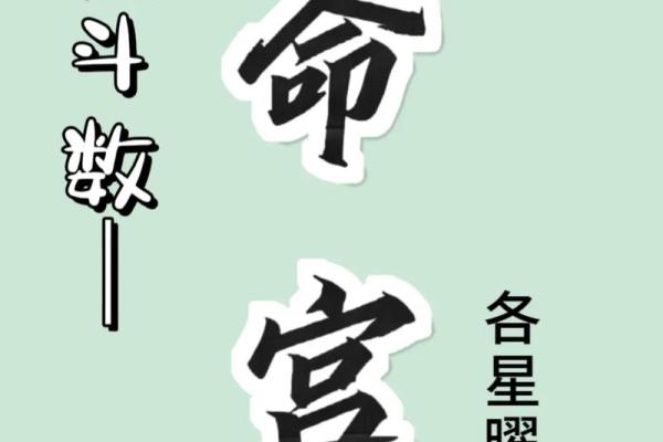 紫薇斗数性格犟