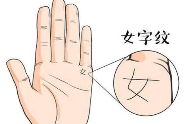女八字纹