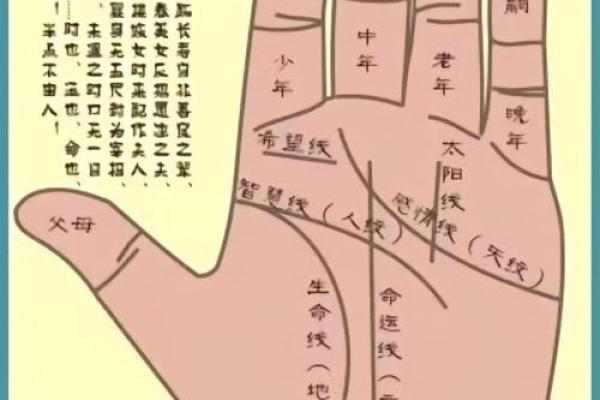 女人右手掌纹图解算命