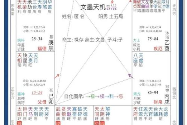 免费紫薇斗数详解