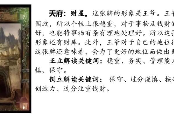 紫薇斗数天府男