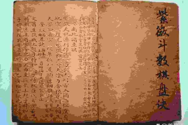 紫薇斗数解盘許