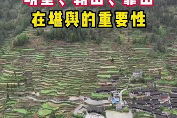 阴宅墓地的风水不好该怎么办