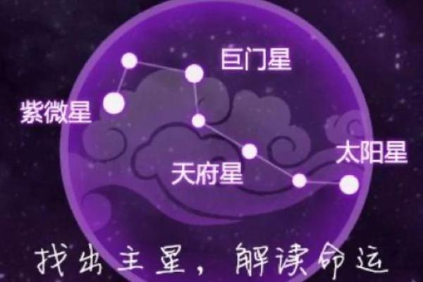紫薇斗数紫薇星+财锦
