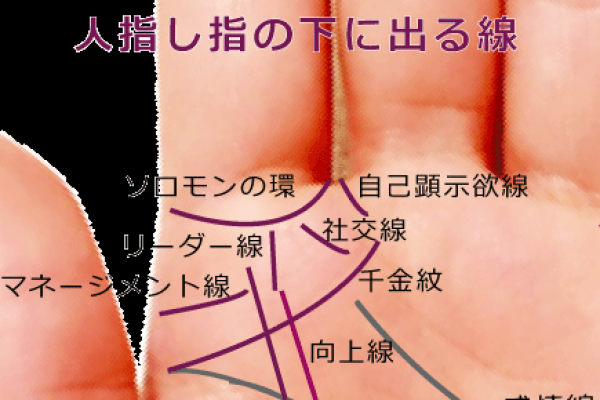 手相木星环算命解析