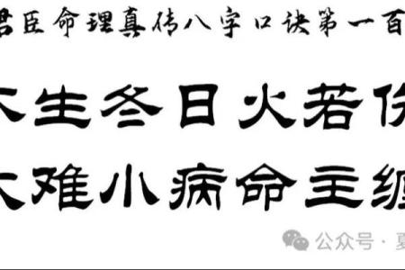 八字喜火木