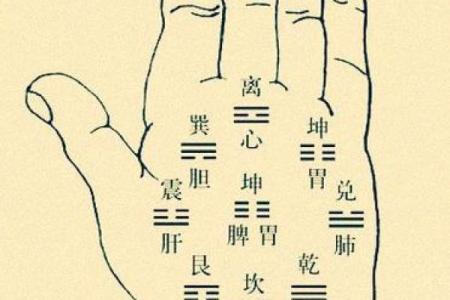 看手相算命图解：指纹