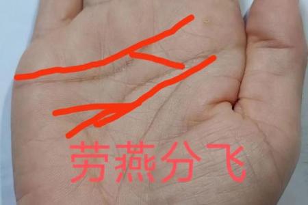 女性手掌感情线算命图解 感情线不清晰的人没有主见