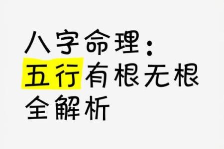 八字通根是什么意思 八字通根是啥意思