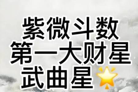 紫微斗数之财帛宫与诸星，武曲星在财帛宫是什么意思？