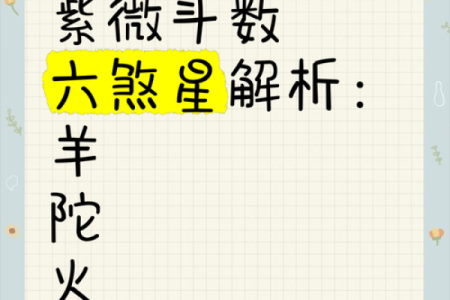 紫微斗数六煞星那个招官司 紫微命盘六煞星？