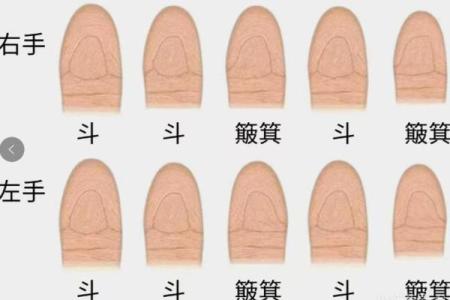 手指上的斗和簸箕代表什么 十个簸箕 簸箕和斗算命
